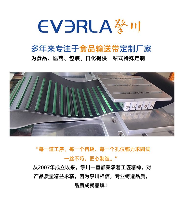 <a href='http://m.rongnl.com/' target='_blank'><u>PU同步帶</u></a>加V型擋塊